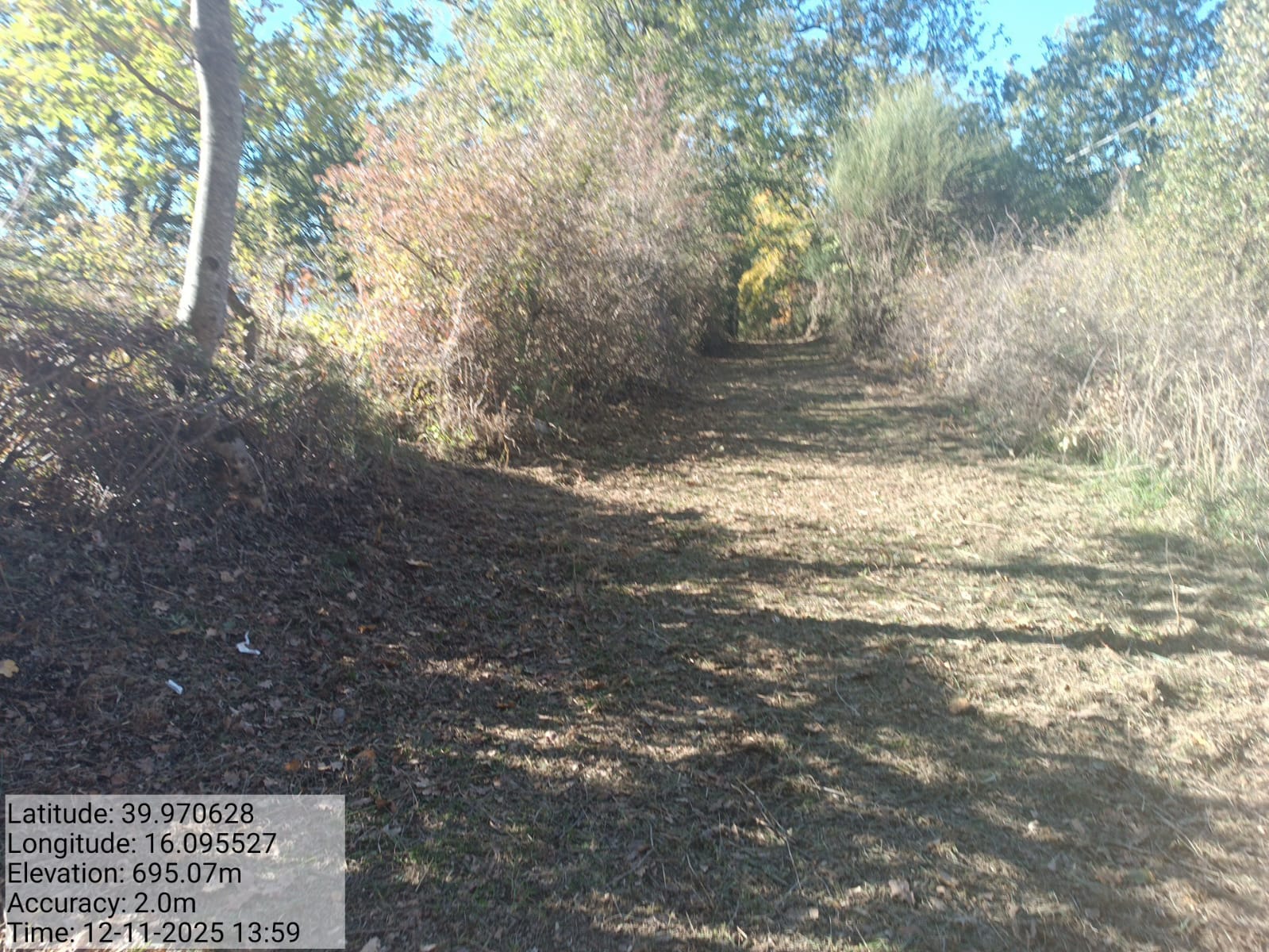 Galleria Fotografica Immagine