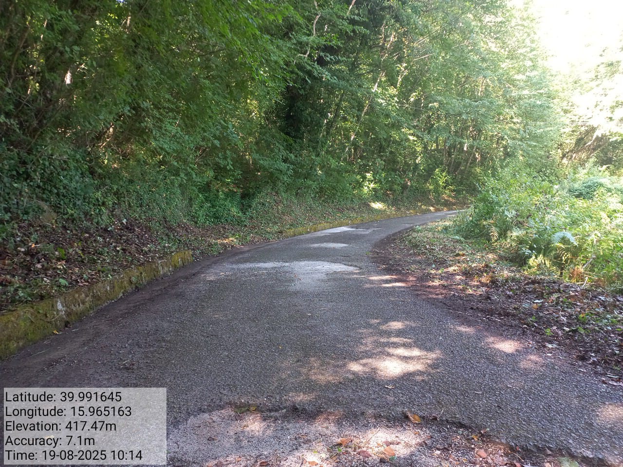 Galleria Fotografica Immagine