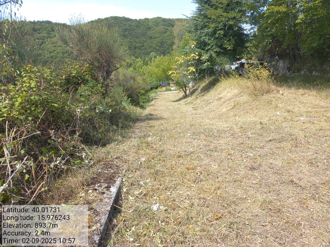 Galleria Fotografica Immagine