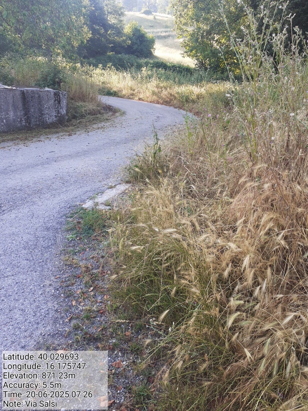 Galleria Fotografica Immagine