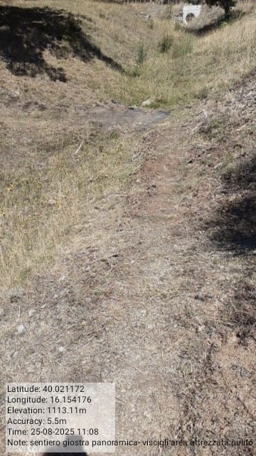 Galleria Fotografica Immagine