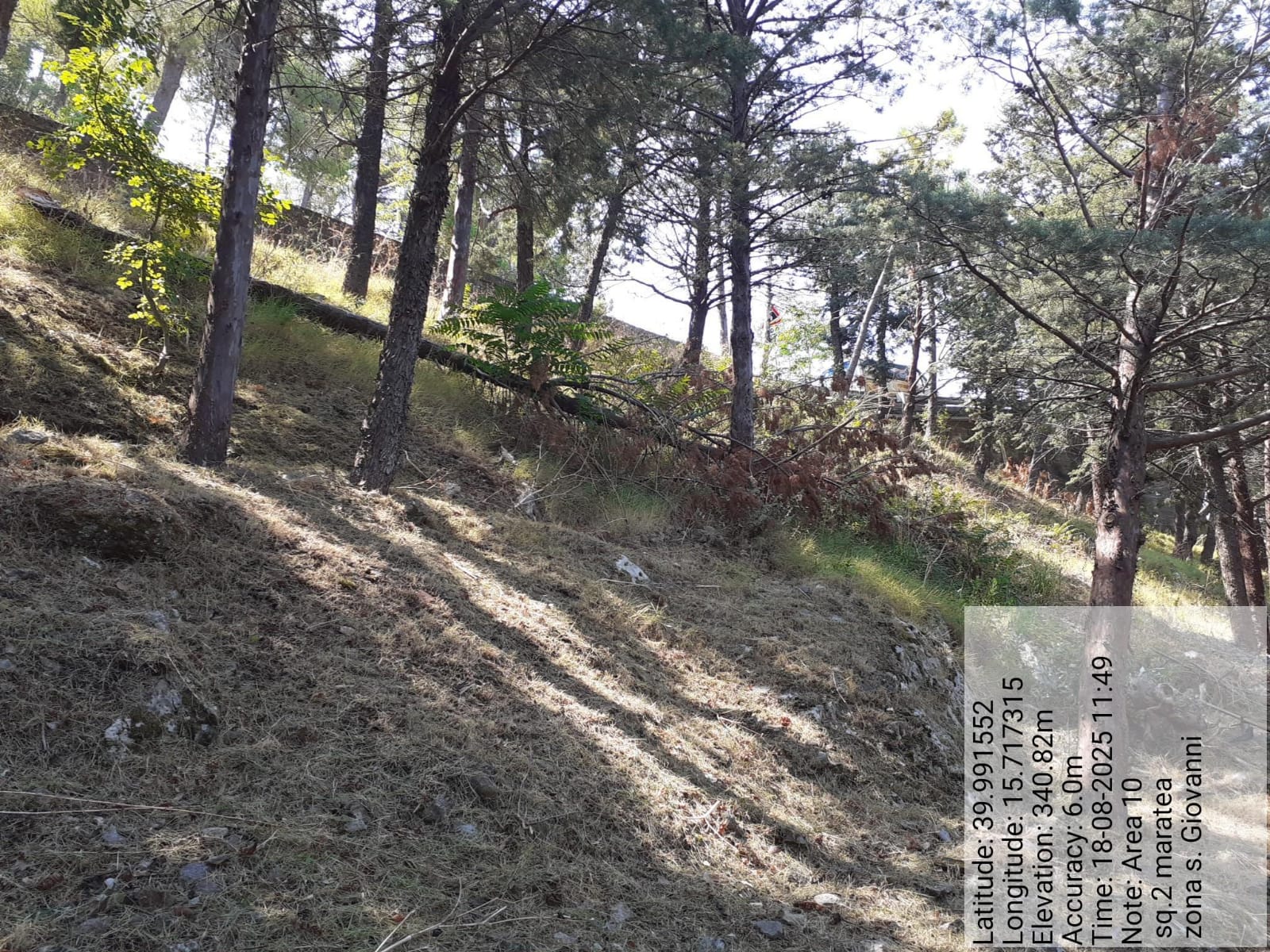 Galleria Fotografica Immagine