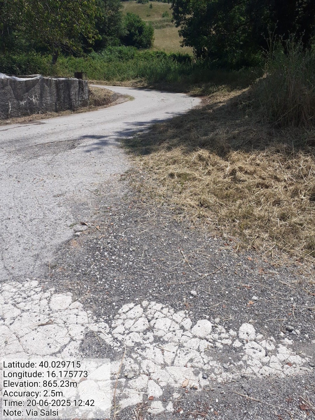 Galleria Fotografica Immagine