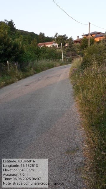 Galleria Fotografica Immagine