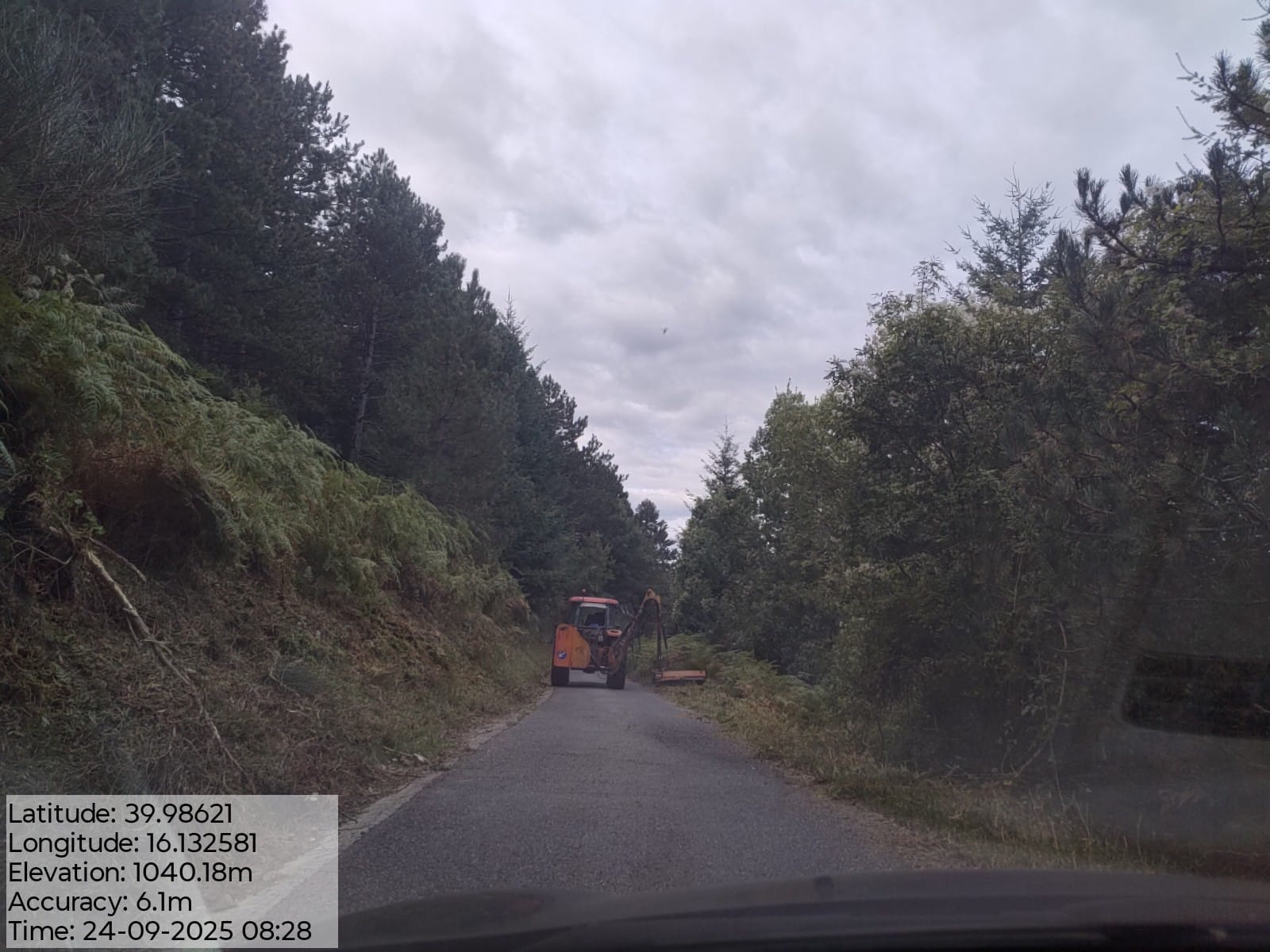 Galleria Fotografica Immagine