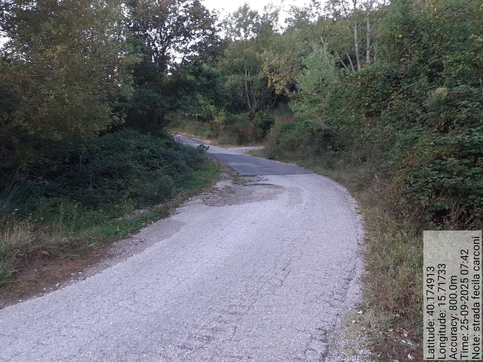 Galleria Fotografica Immagine