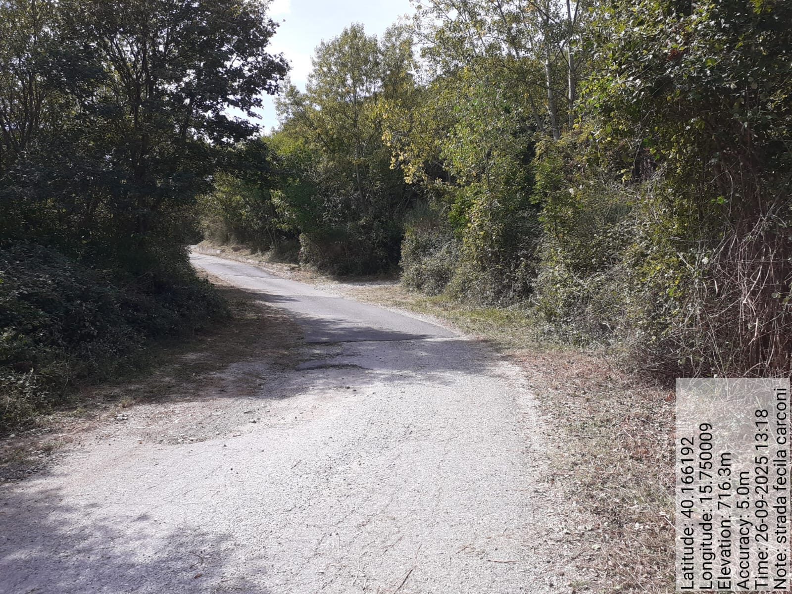 Galleria Fotografica Immagine