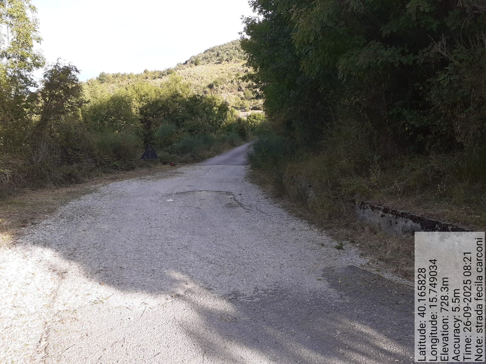 Galleria Fotografica Immagine