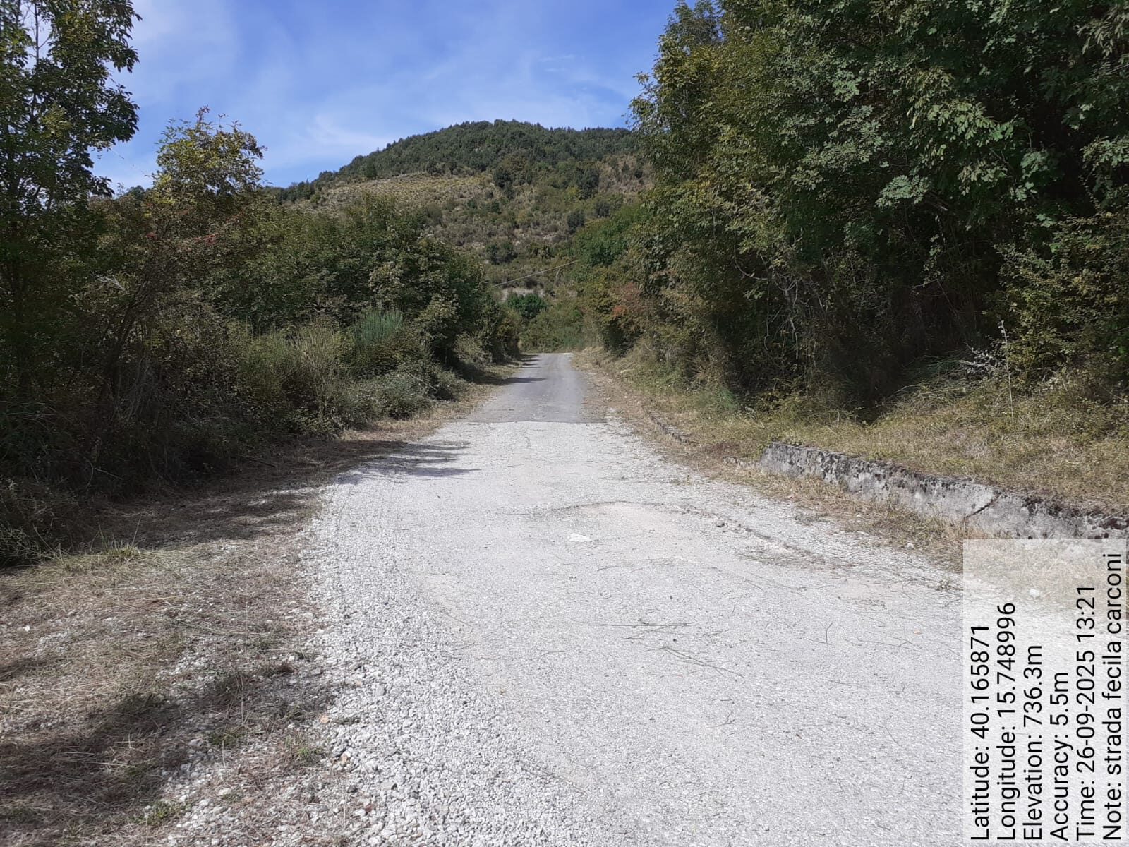 Galleria Fotografica Immagine