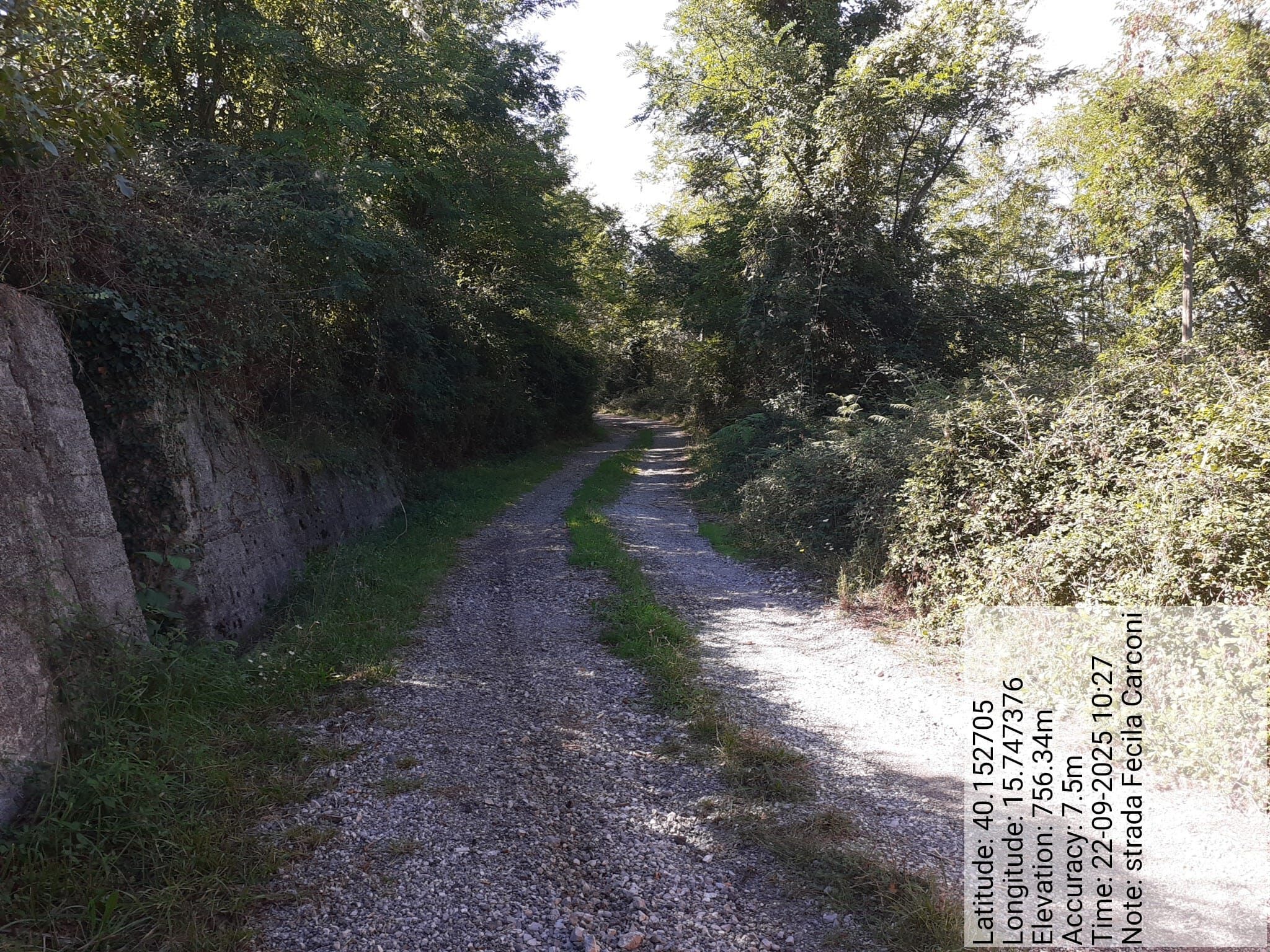 Galleria Fotografica Immagine