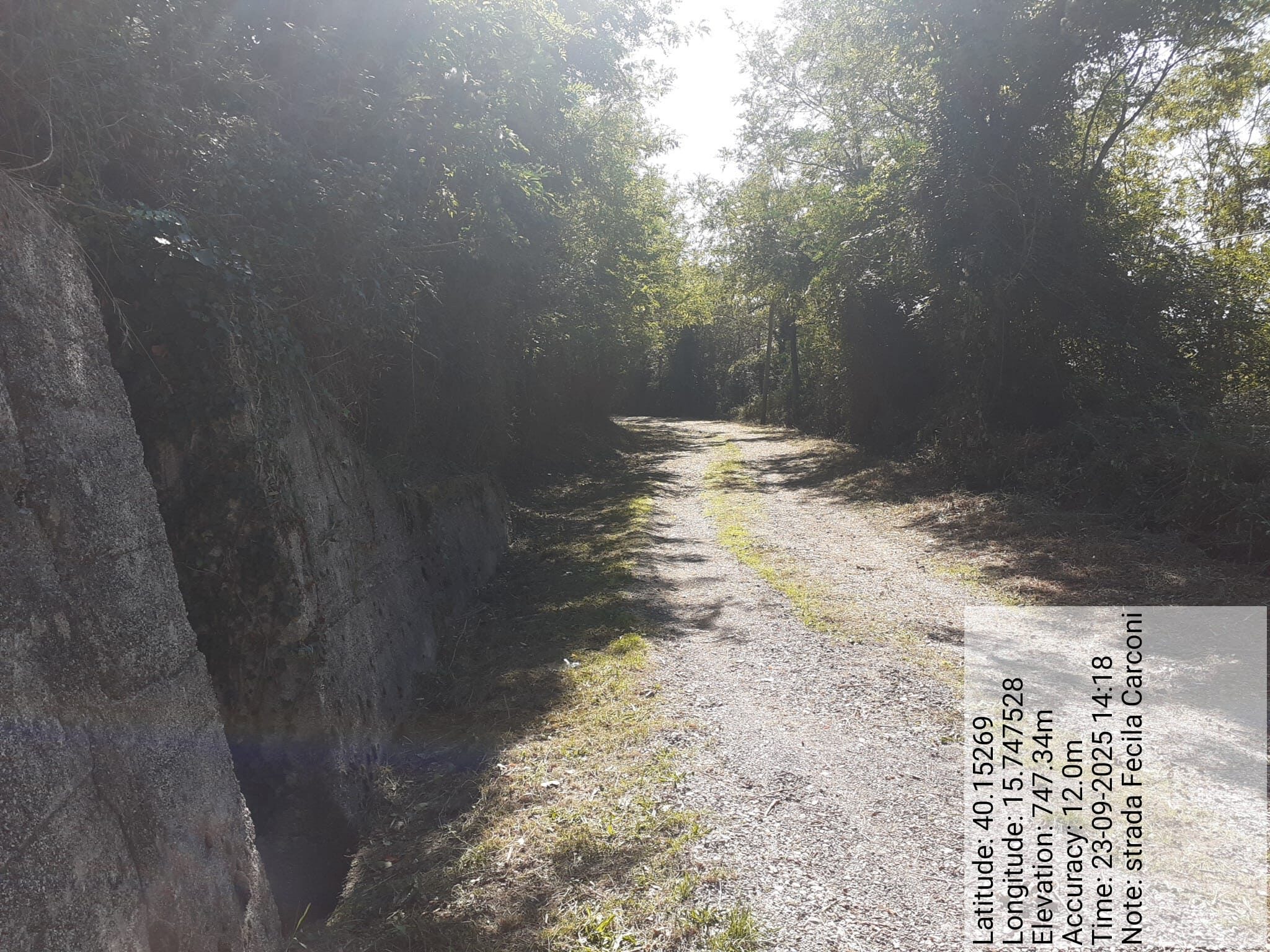 Galleria Fotografica Immagine