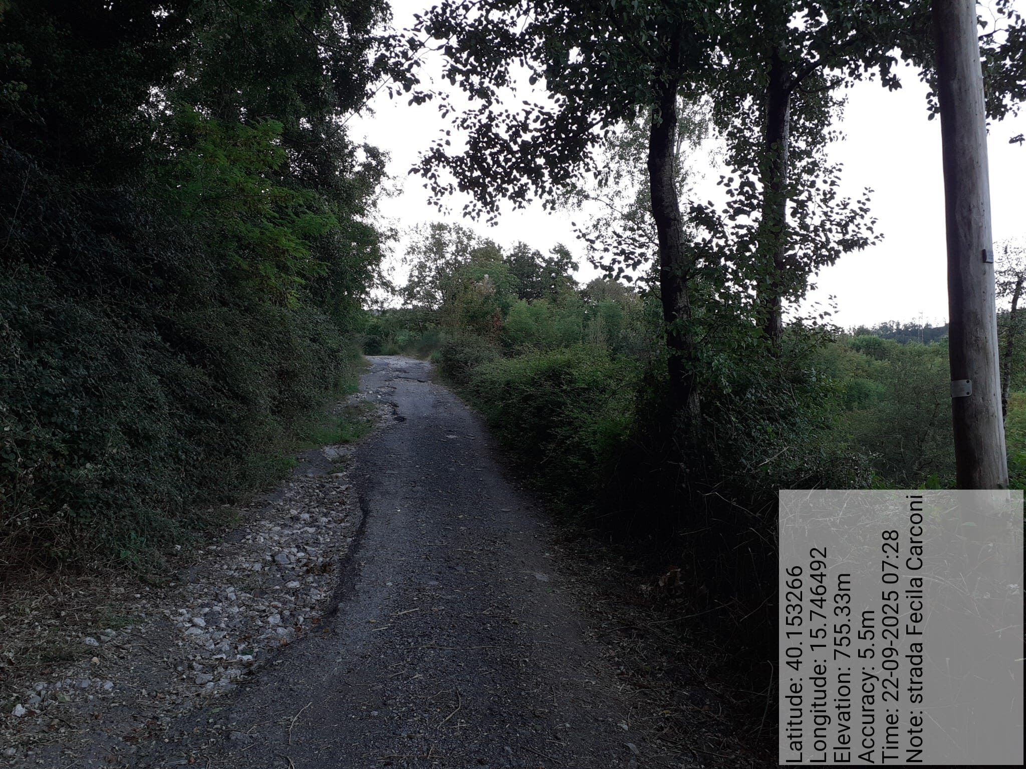 Galleria Fotografica Immagine