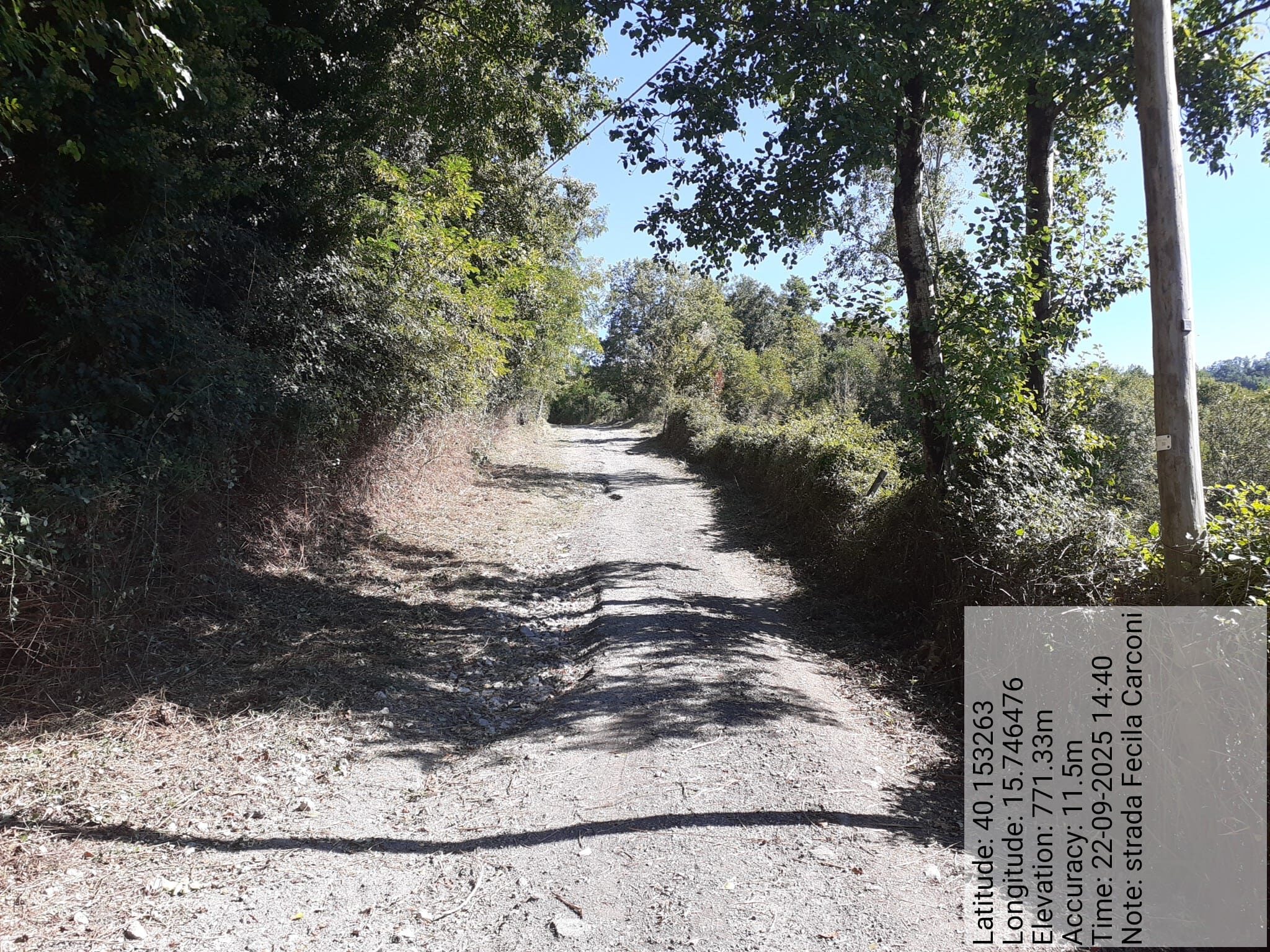 Galleria Fotografica Immagine