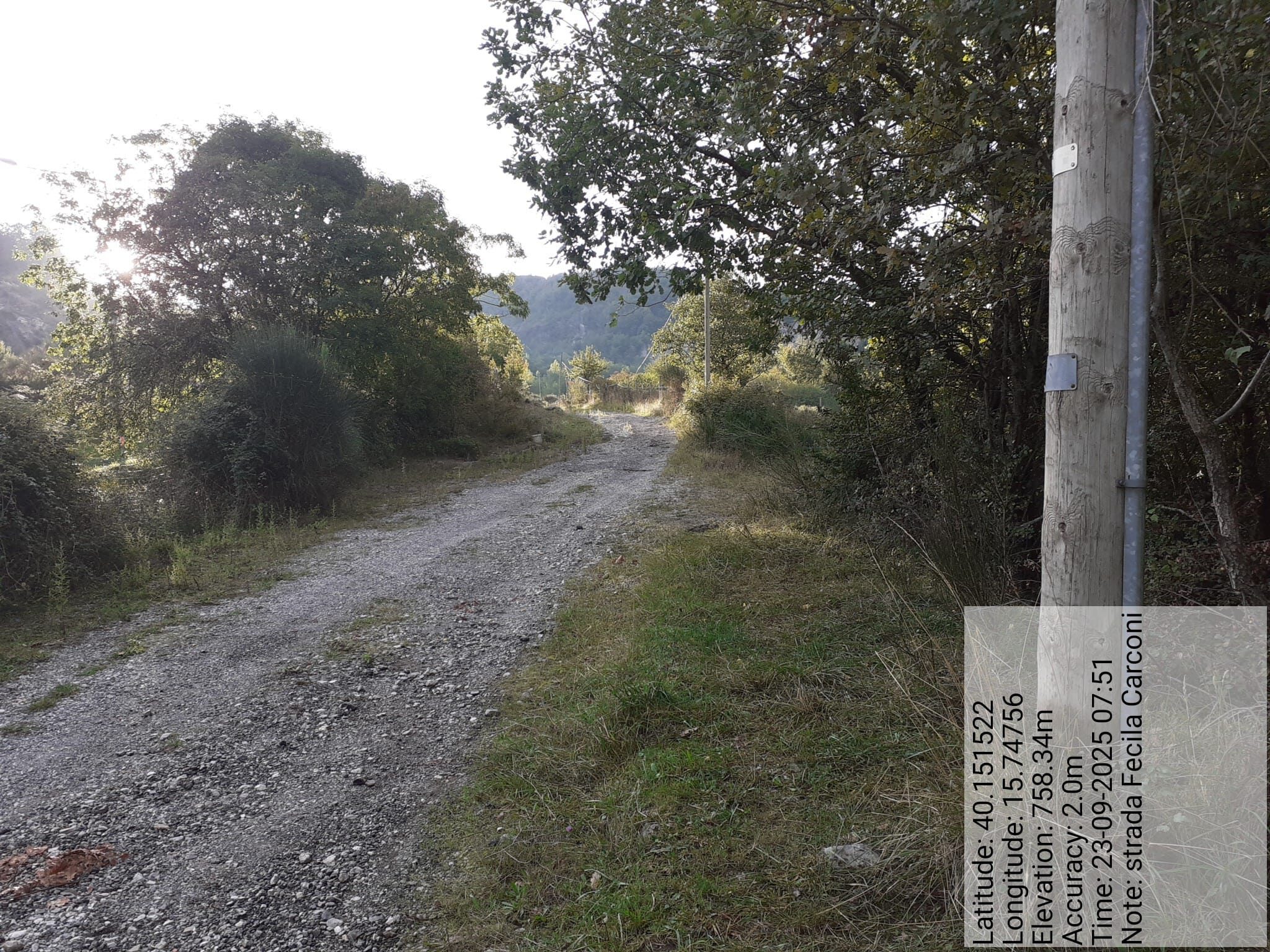 Galleria Fotografica Immagine