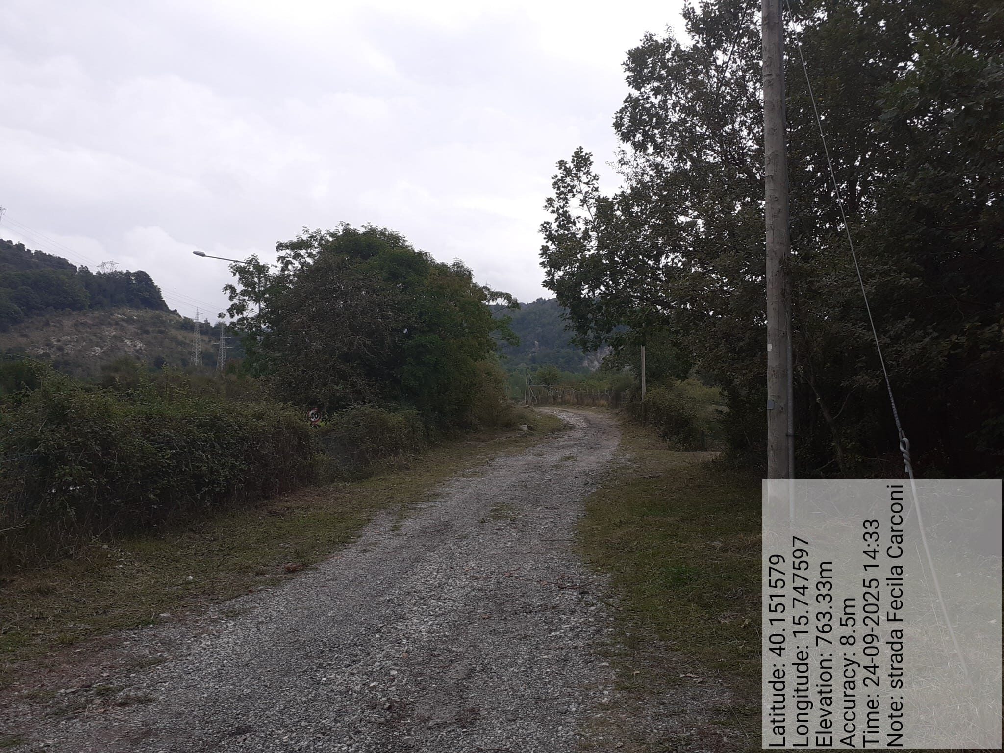 Galleria Fotografica Immagine