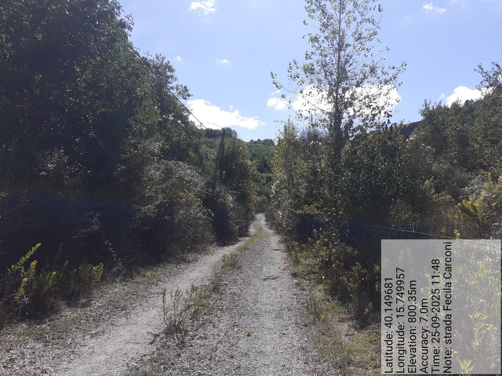 Galleria Fotografica Immagine