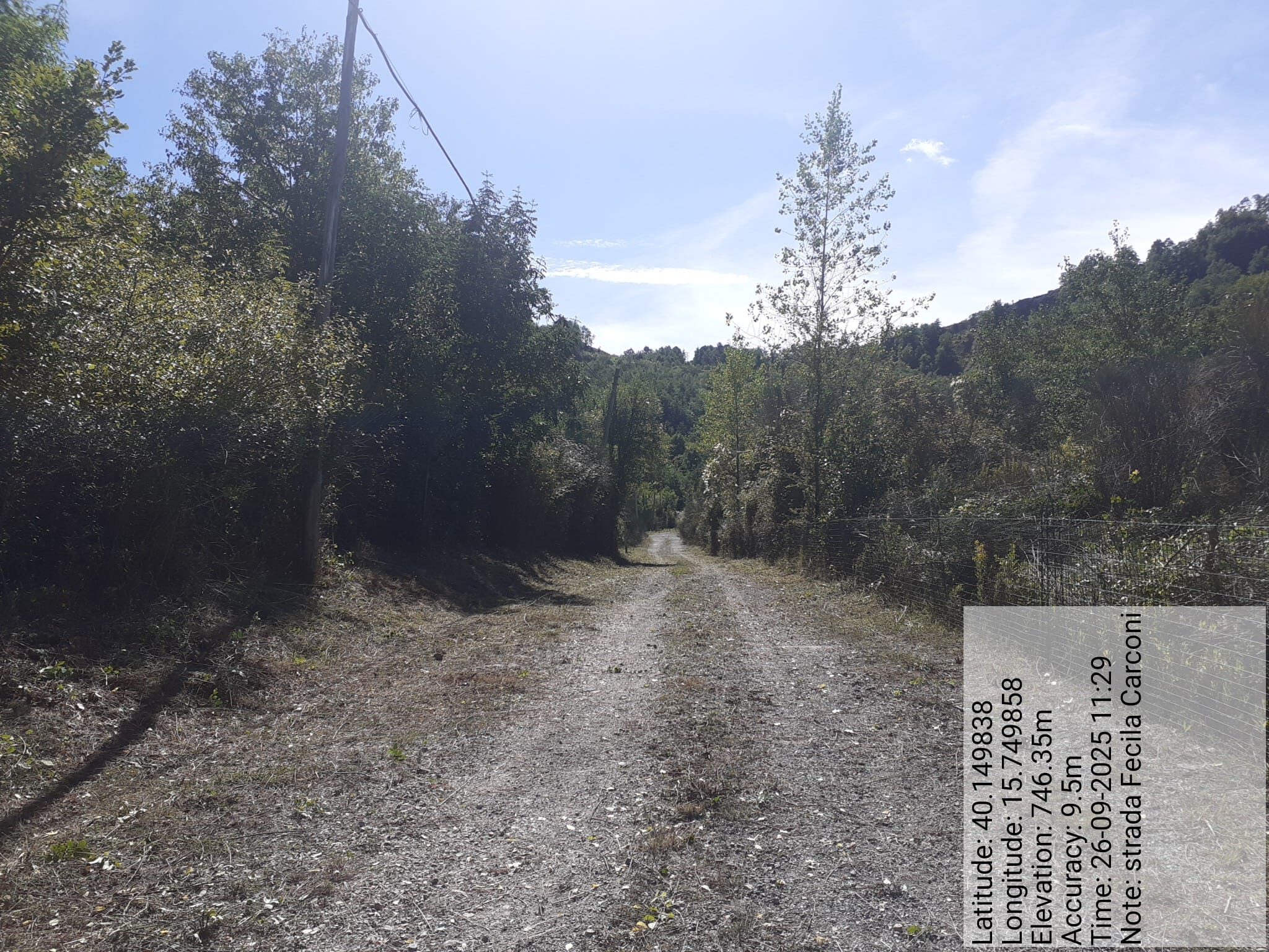 Galleria Fotografica Immagine