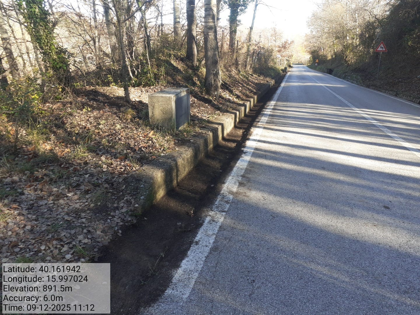 Galleria Fotografica Immagine