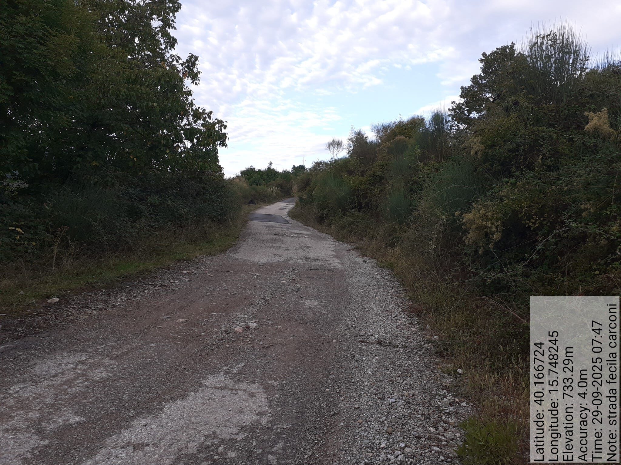 Galleria Fotografica Immagine