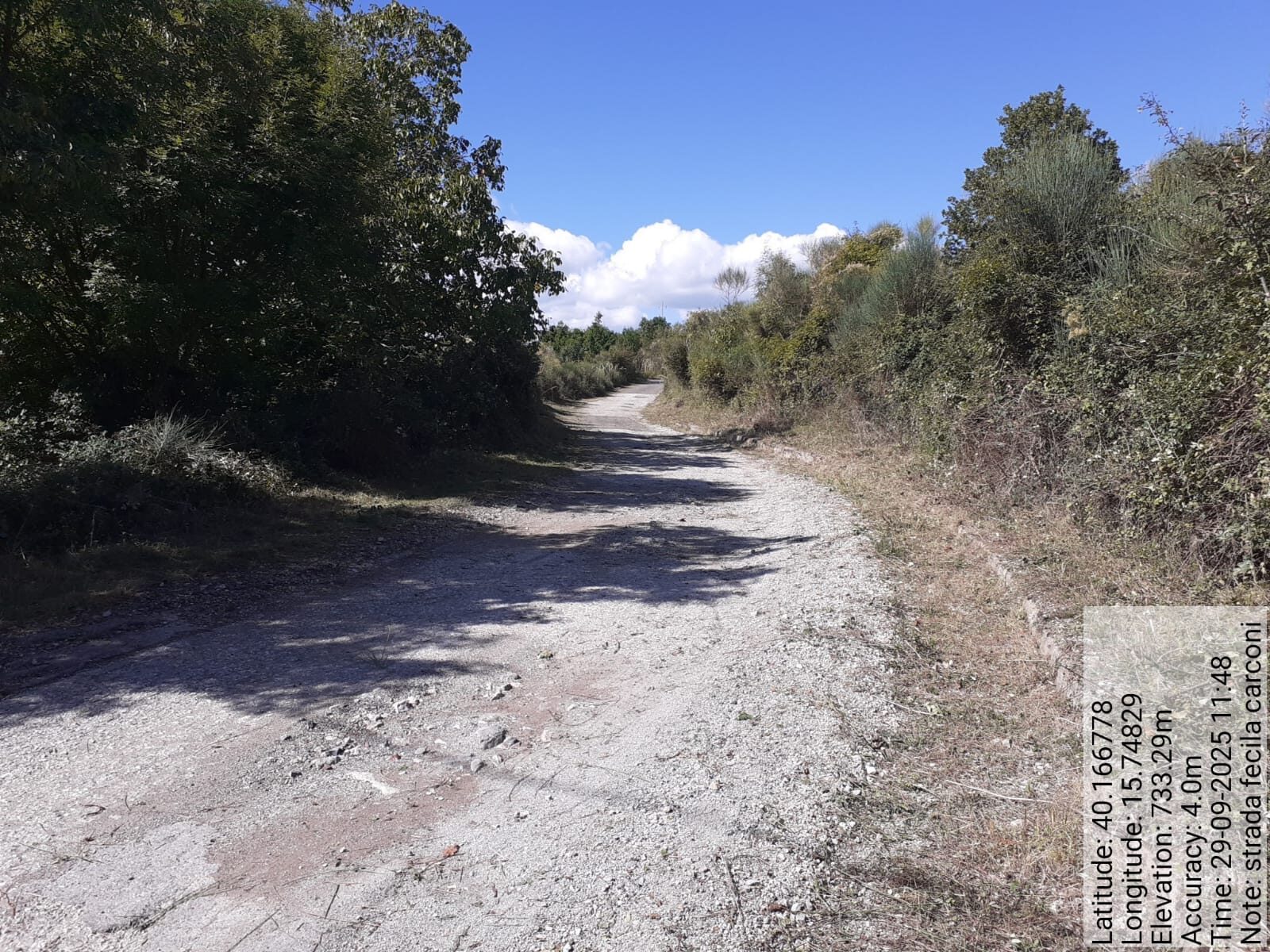 Galleria Fotografica Immagine