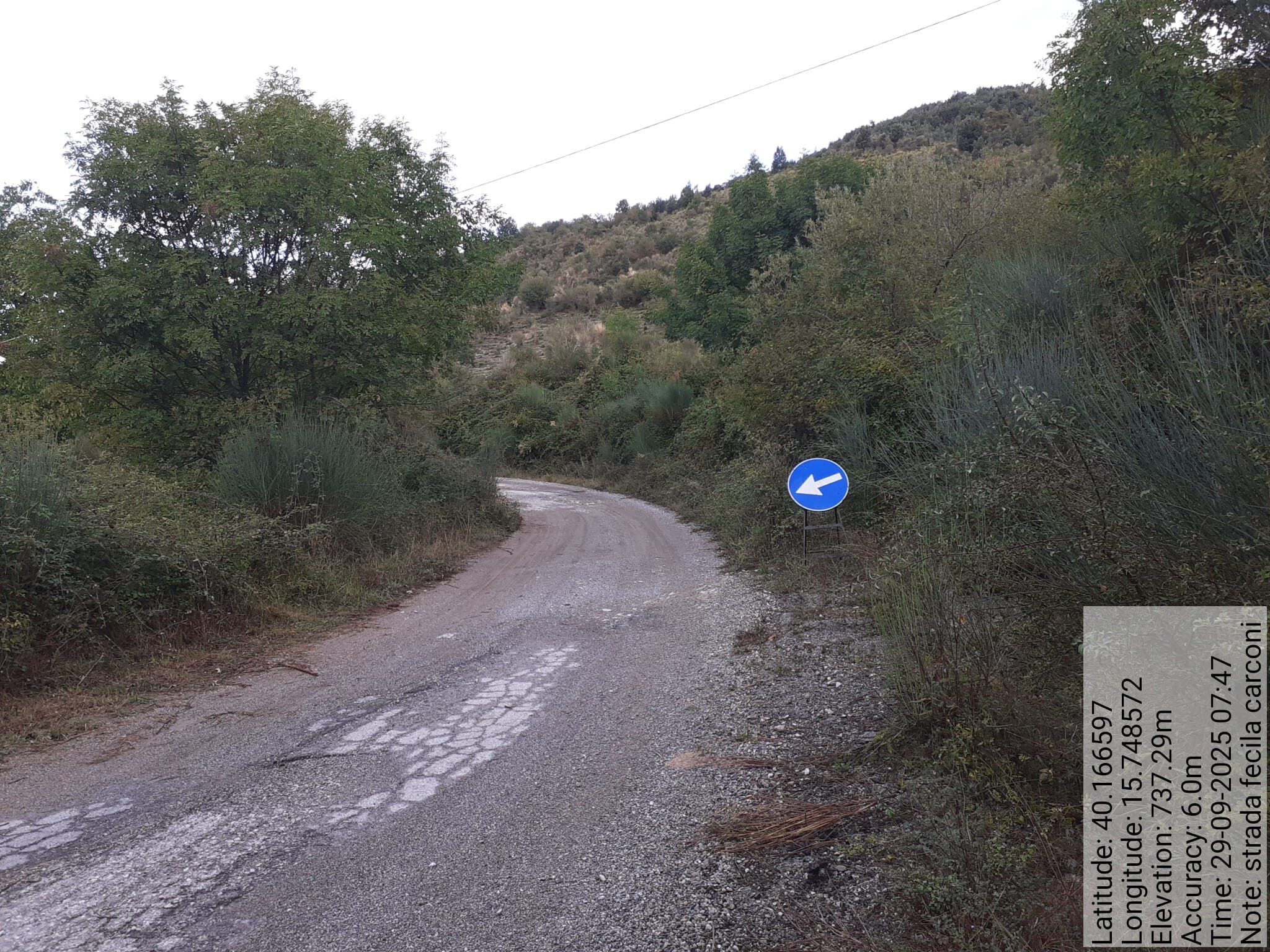 Galleria Fotografica Immagine