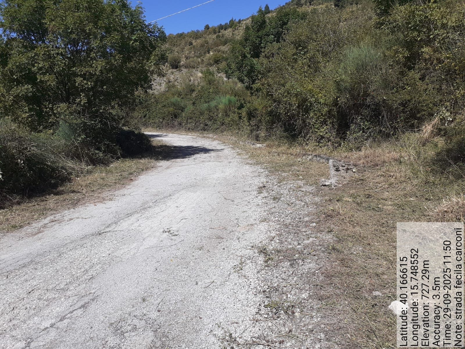 Galleria Fotografica Immagine