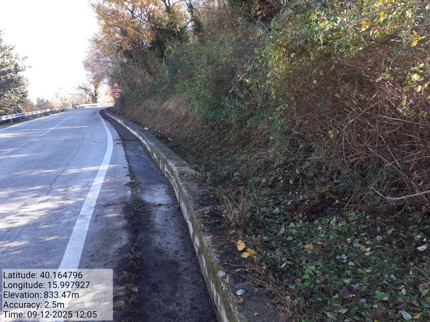 Galleria Fotografica Immagine