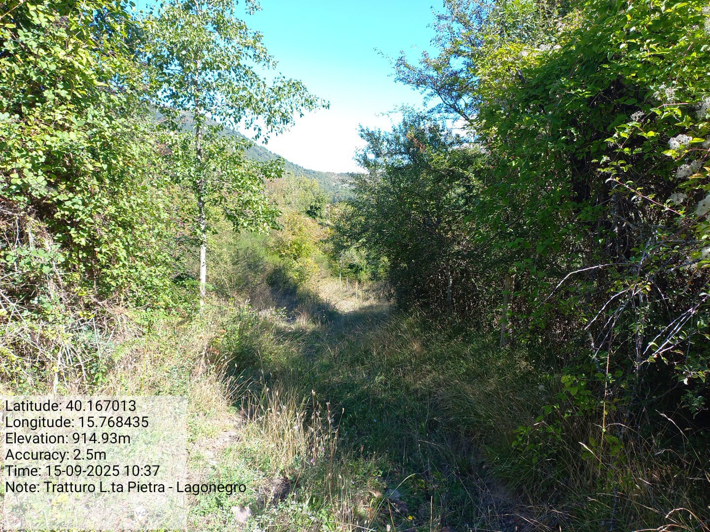 Galleria Fotografica Immagine