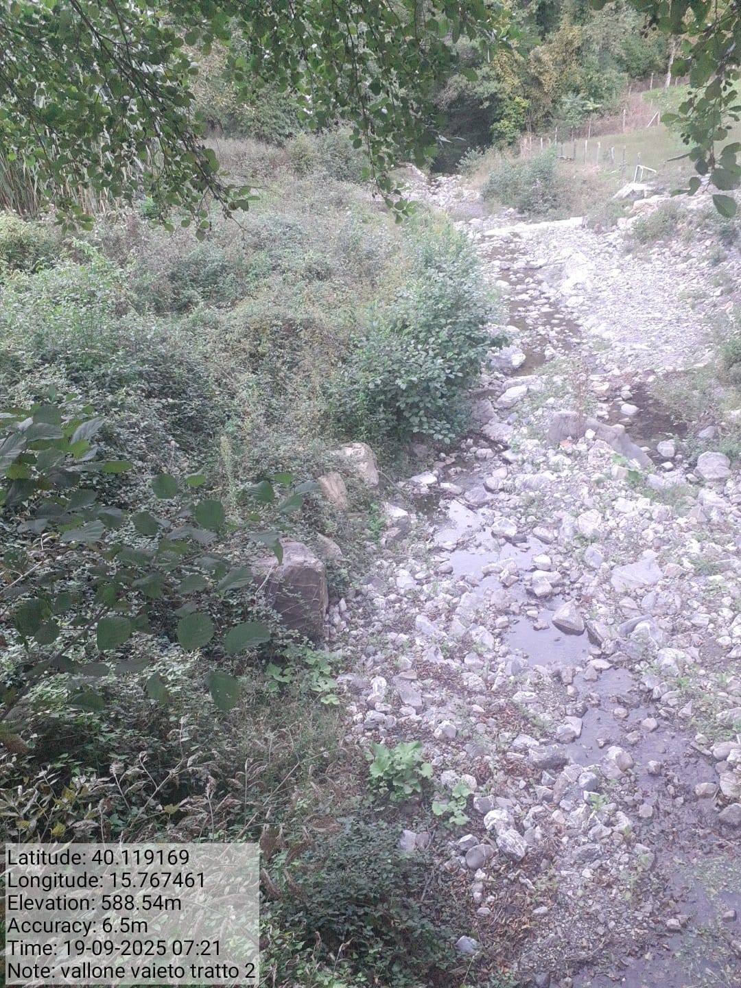 Galleria Fotografica Immagine