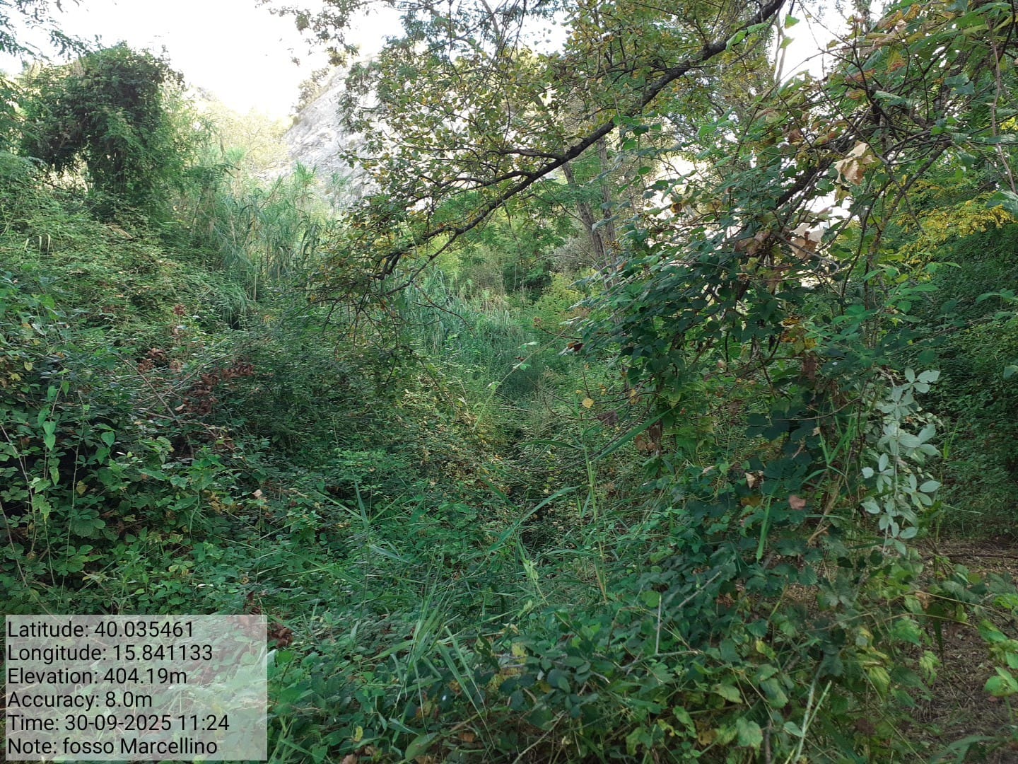 Galleria Fotografica Immagine