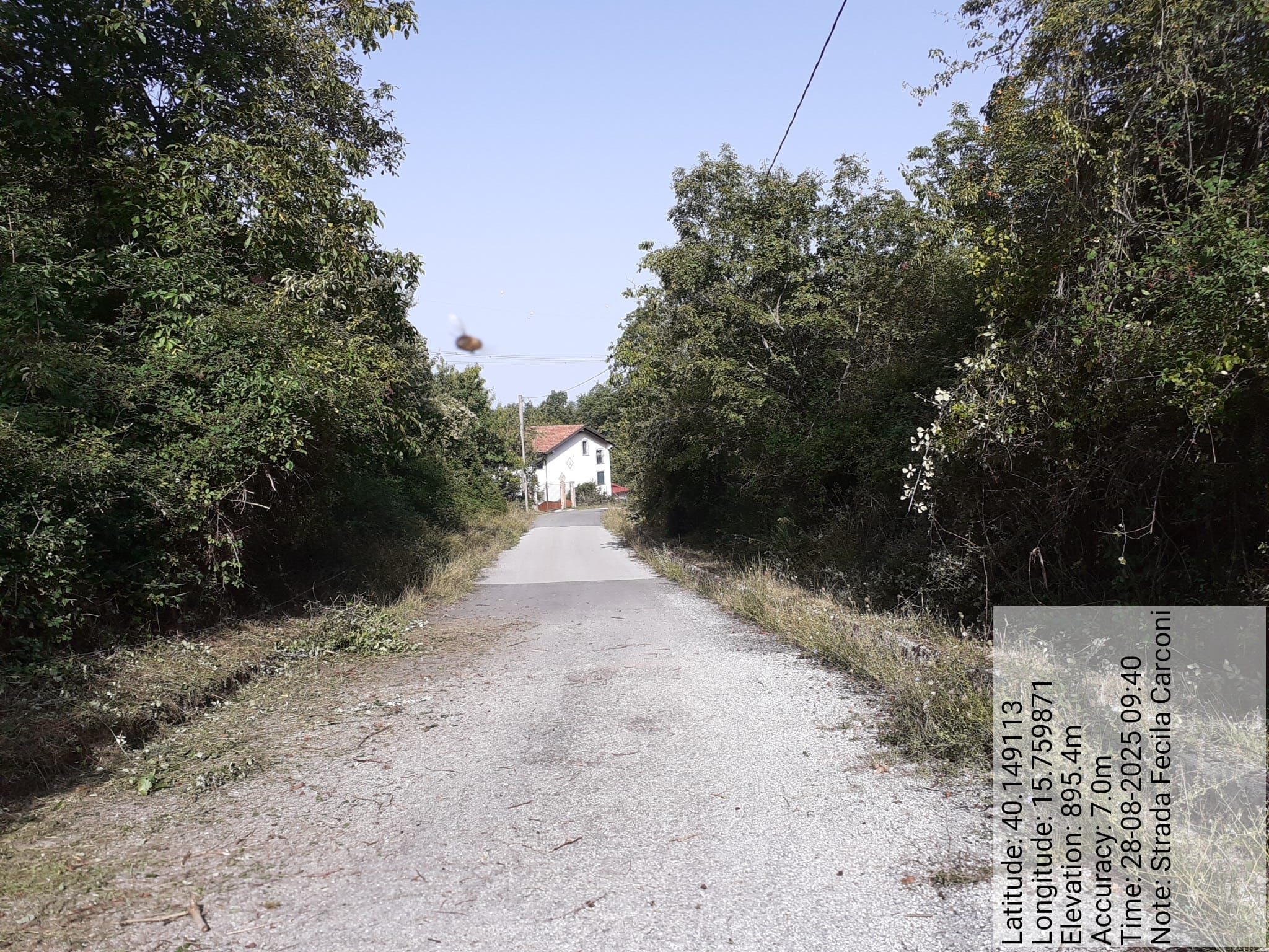 Galleria Fotografica Immagine