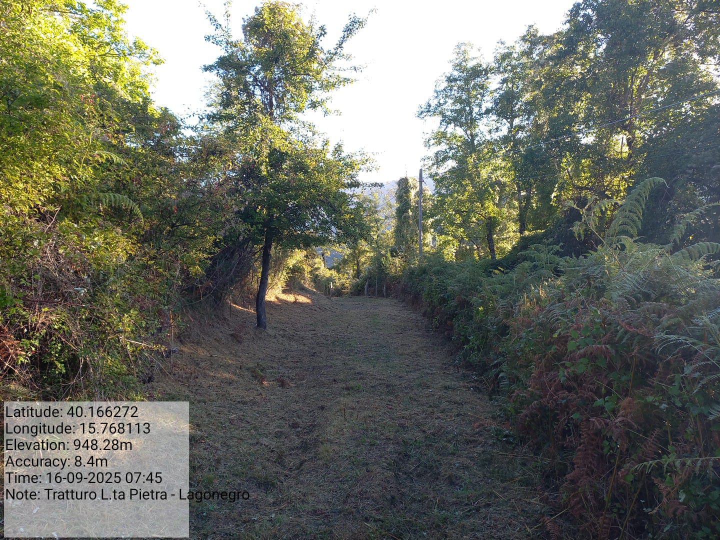 Galleria Fotografica Immagine