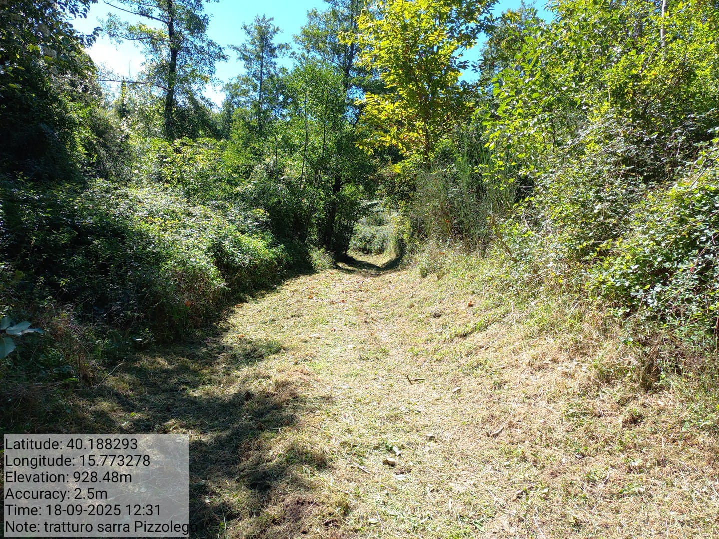 Galleria Fotografica Immagine