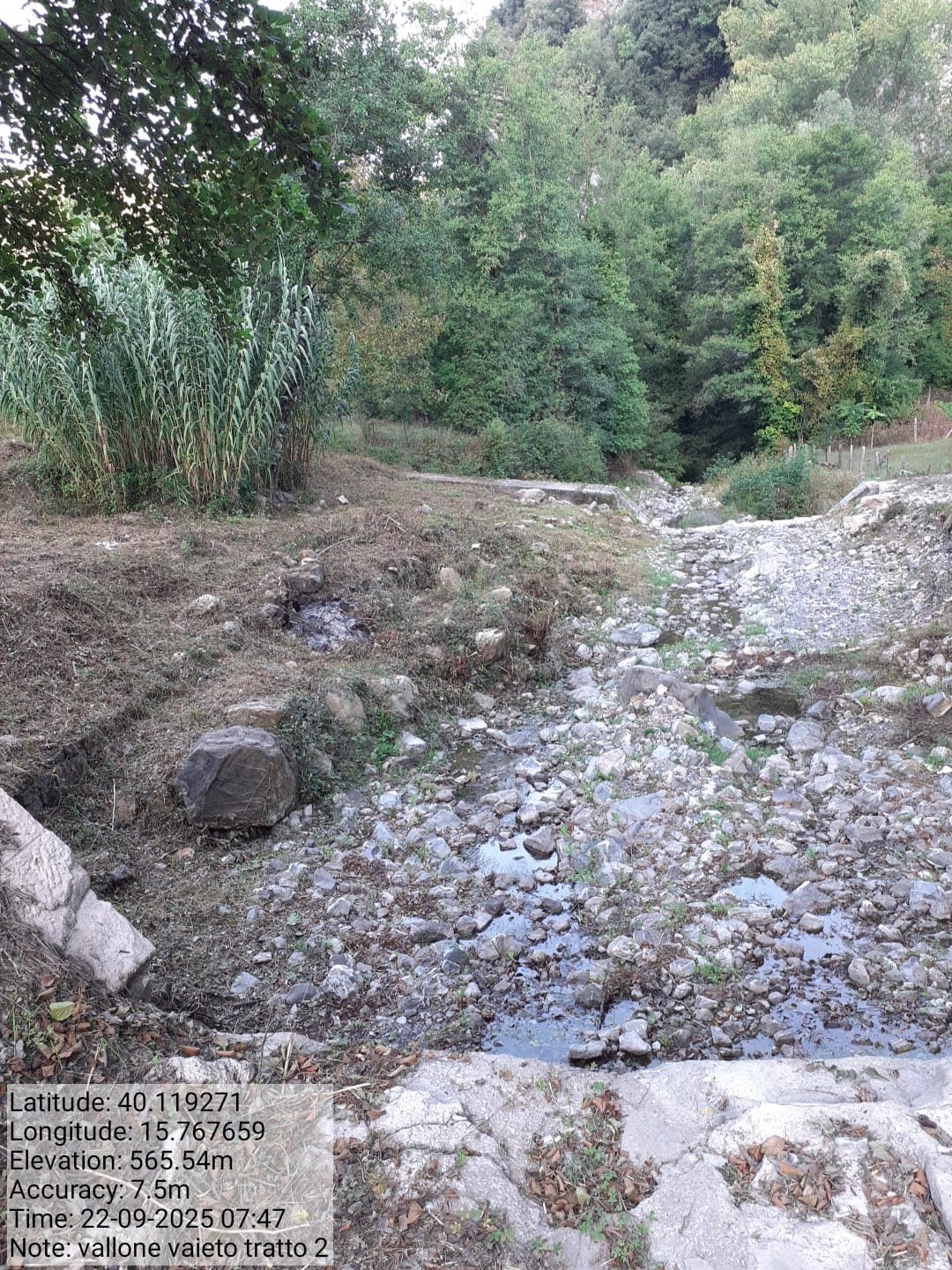 Galleria Fotografica Immagine