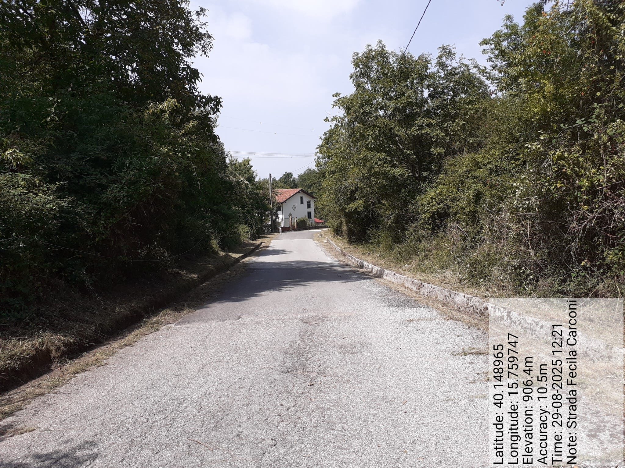 Galleria Fotografica Immagine