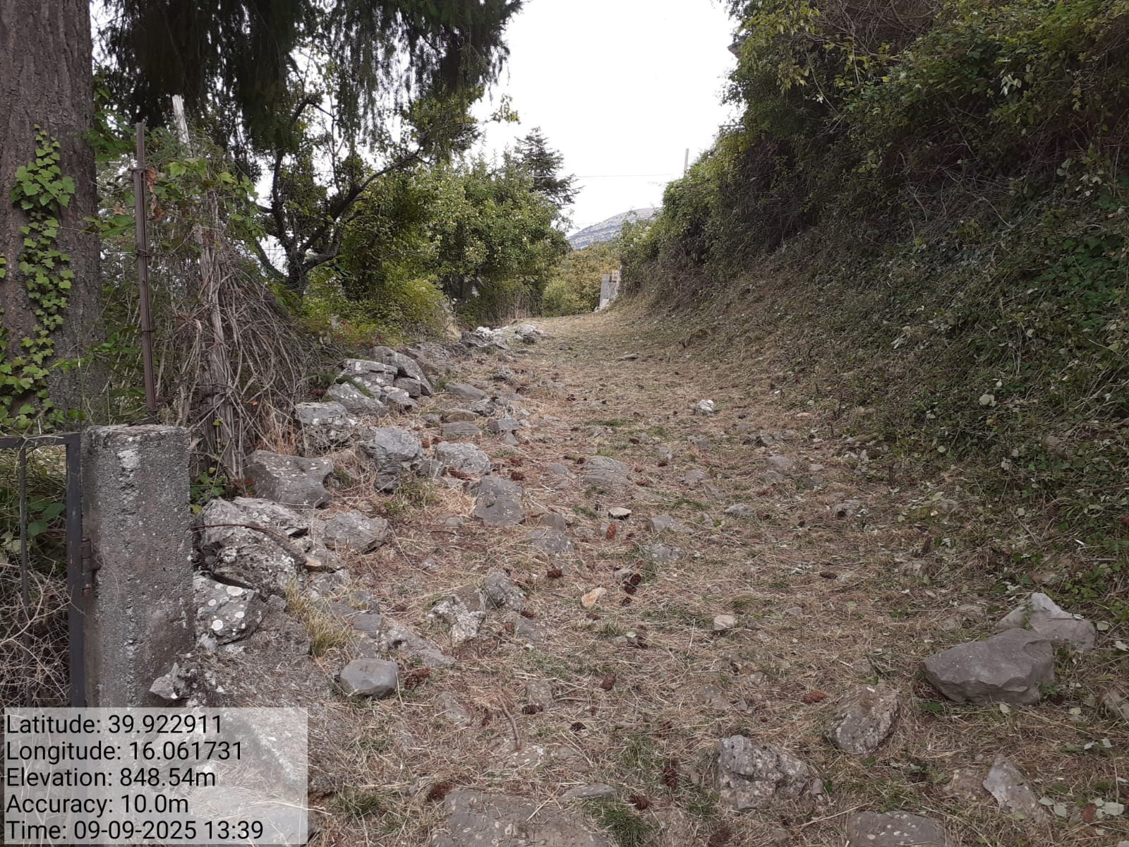 Galleria Fotografica Immagine