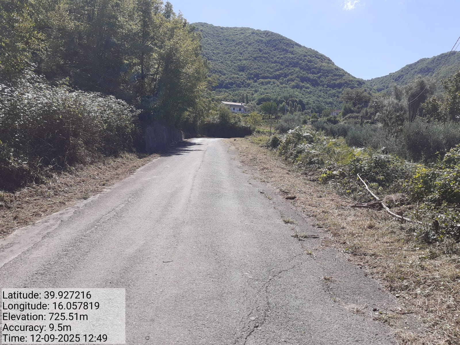 Galleria Fotografica Immagine