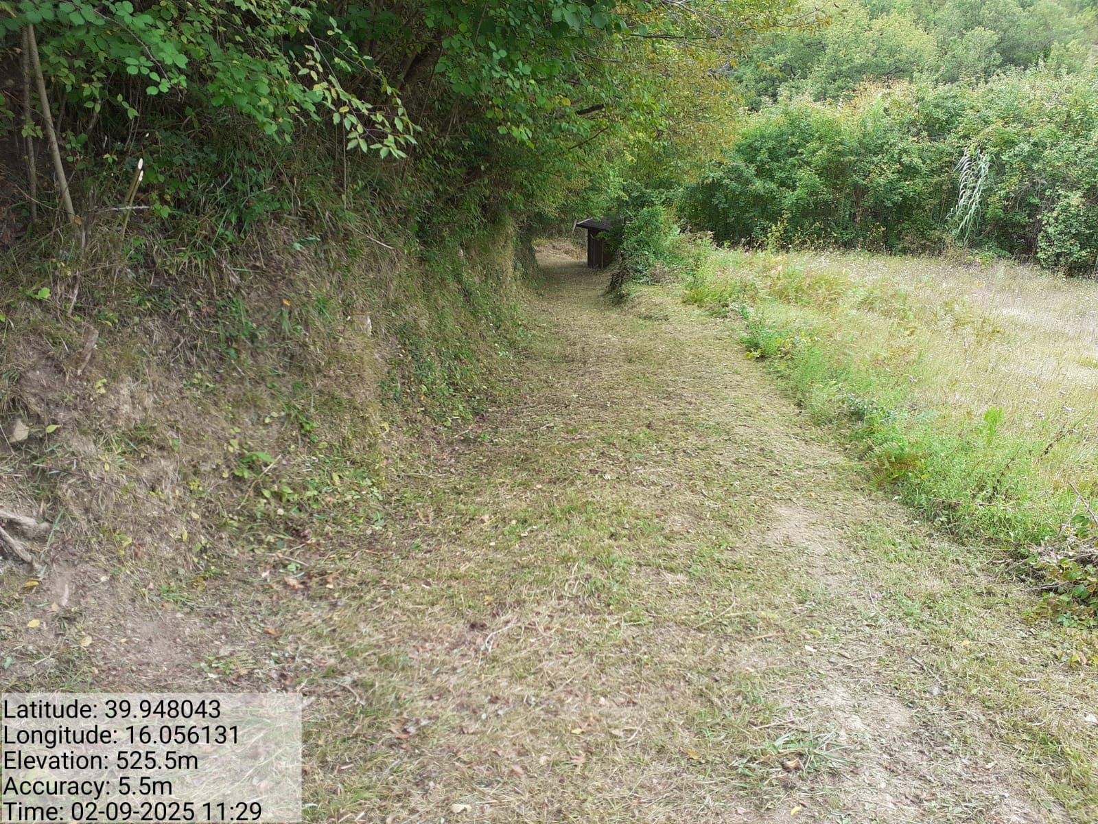 Galleria Fotografica Immagine