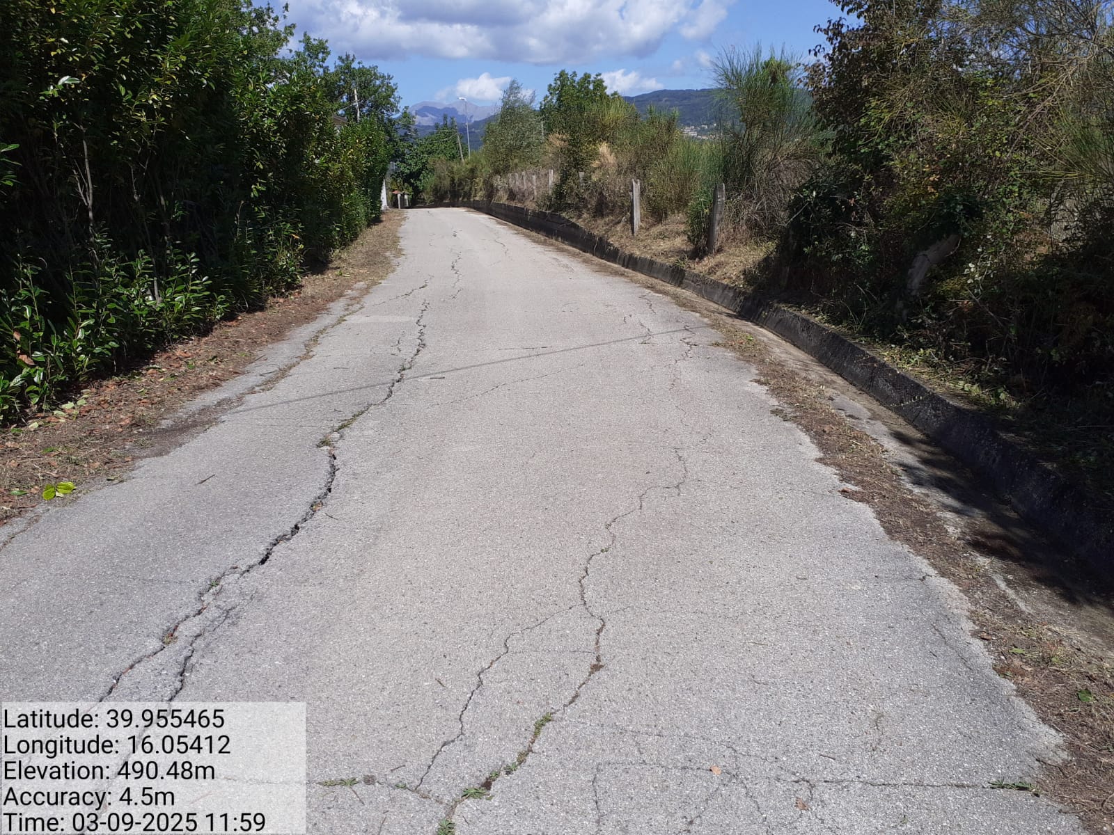 Galleria Fotografica Immagine