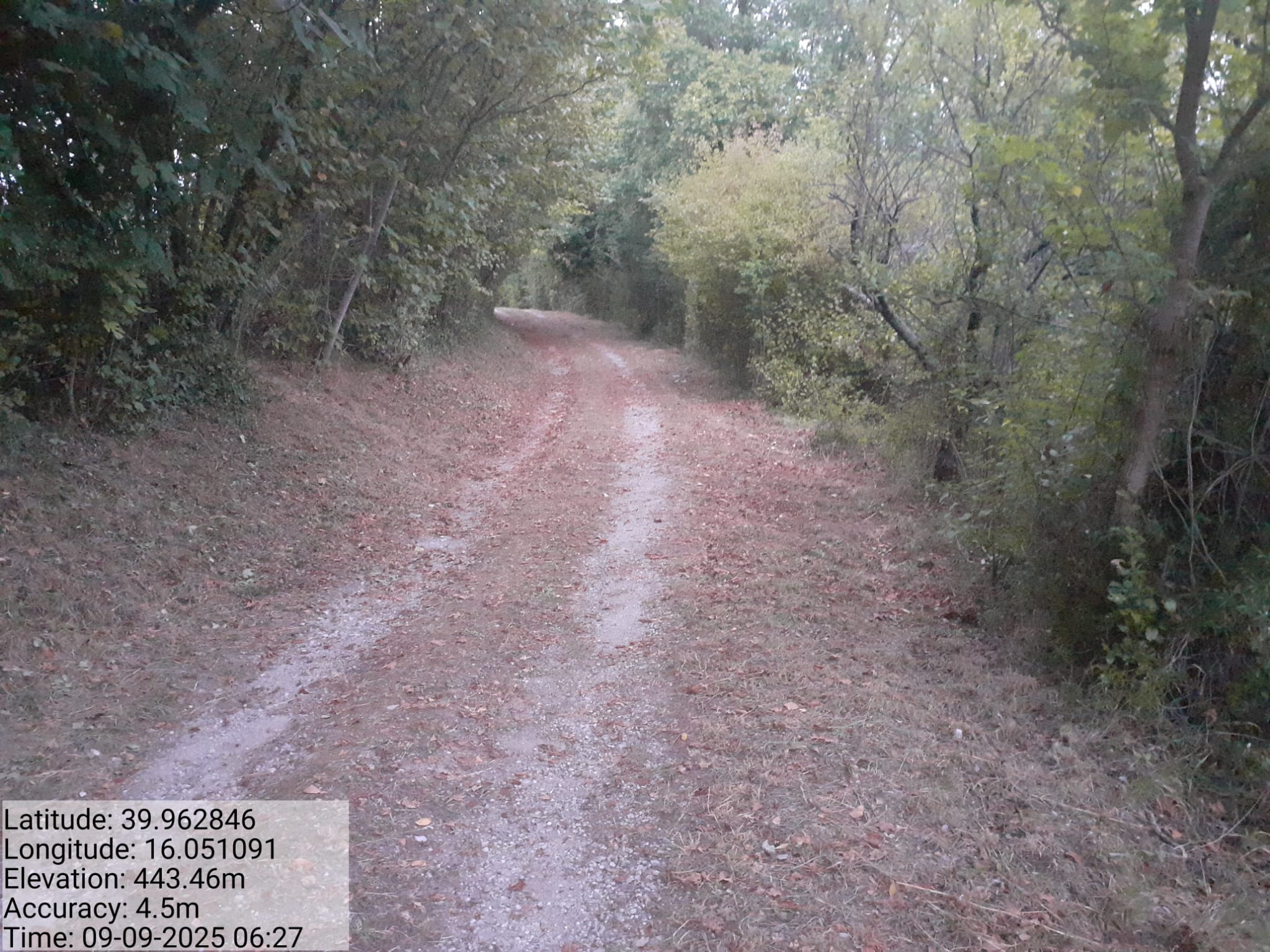 Galleria Fotografica Immagine