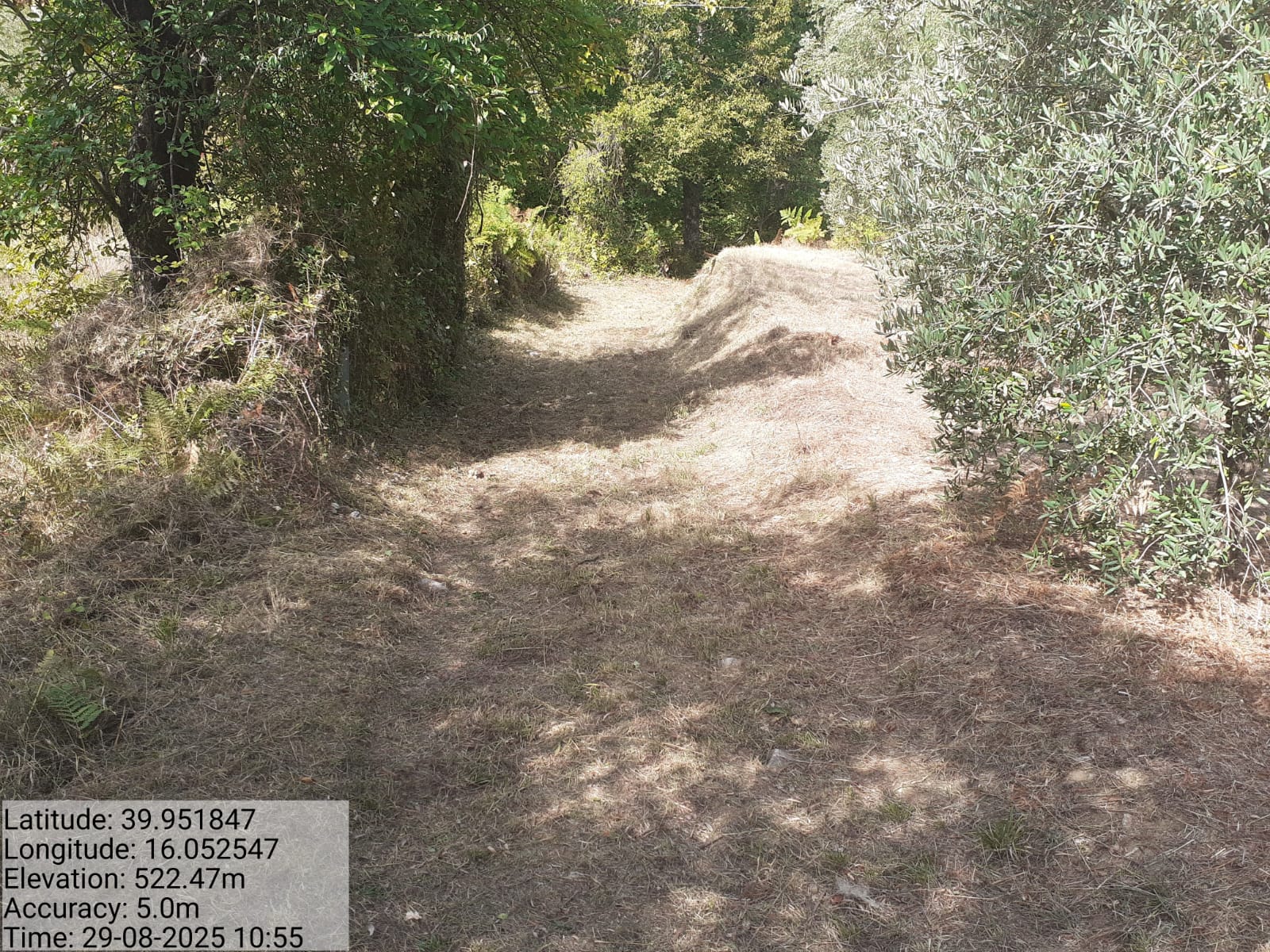 Galleria Fotografica Immagine