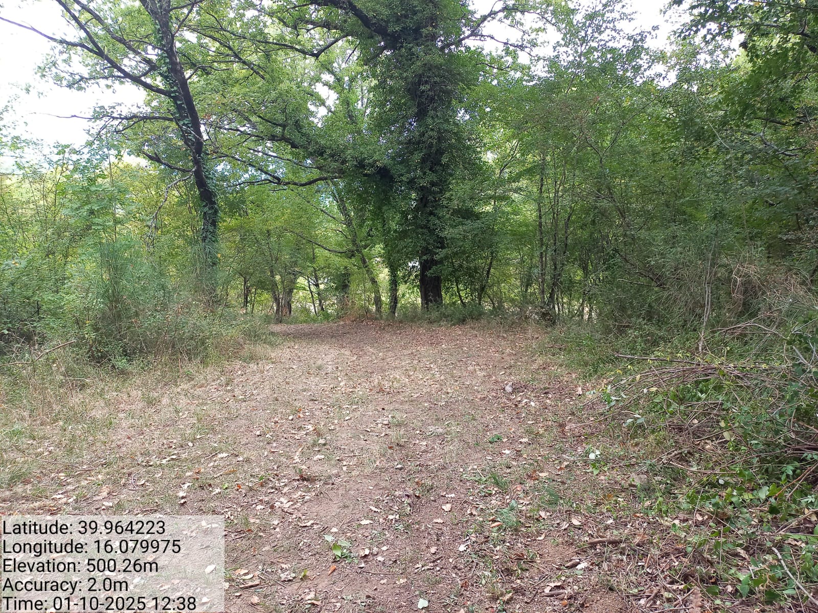 Galleria Fotografica Immagine