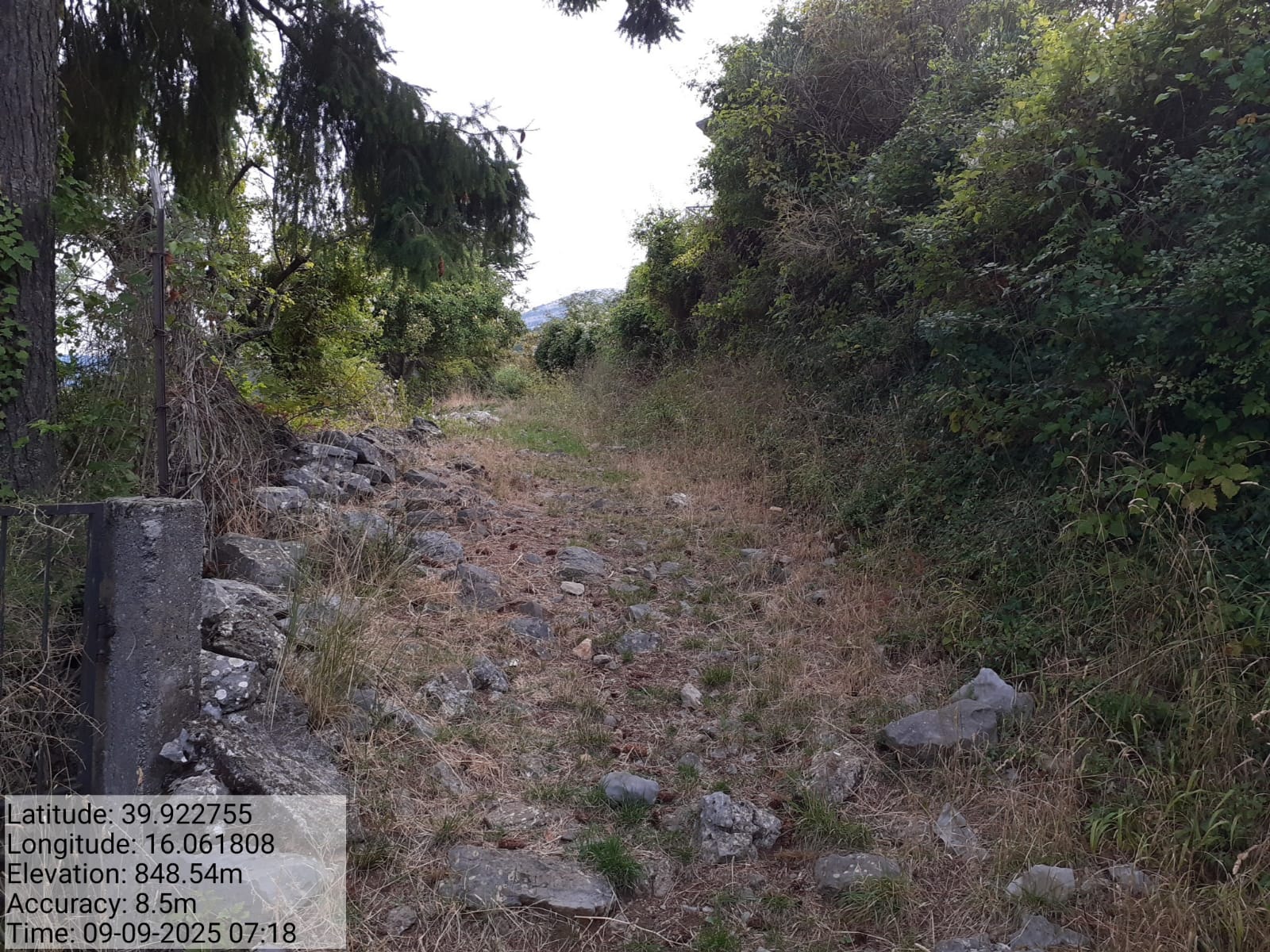 Galleria Fotografica Immagine