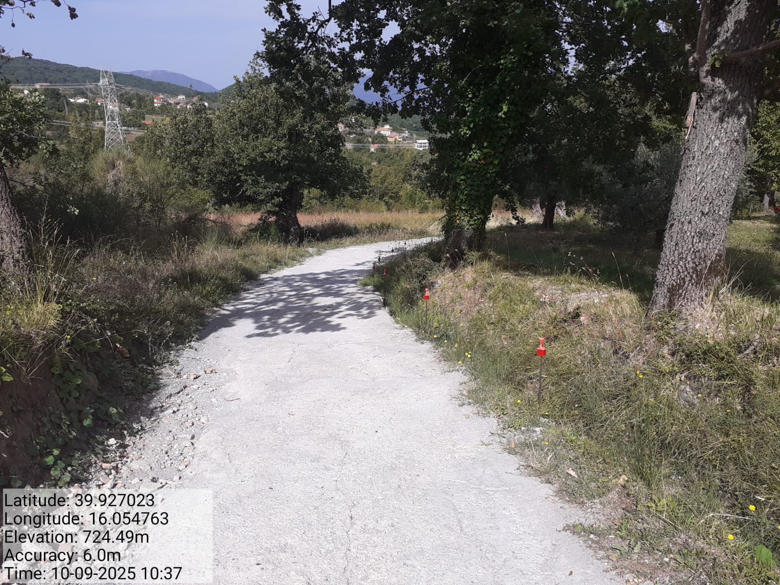 Galleria Fotografica Immagine