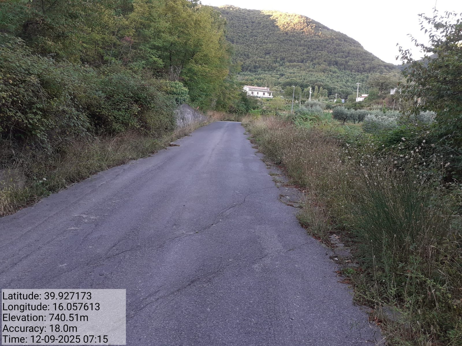 Galleria Fotografica Immagine