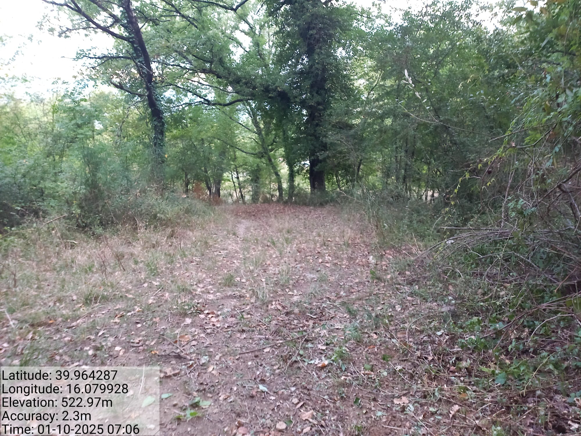 Galleria Fotografica Immagine