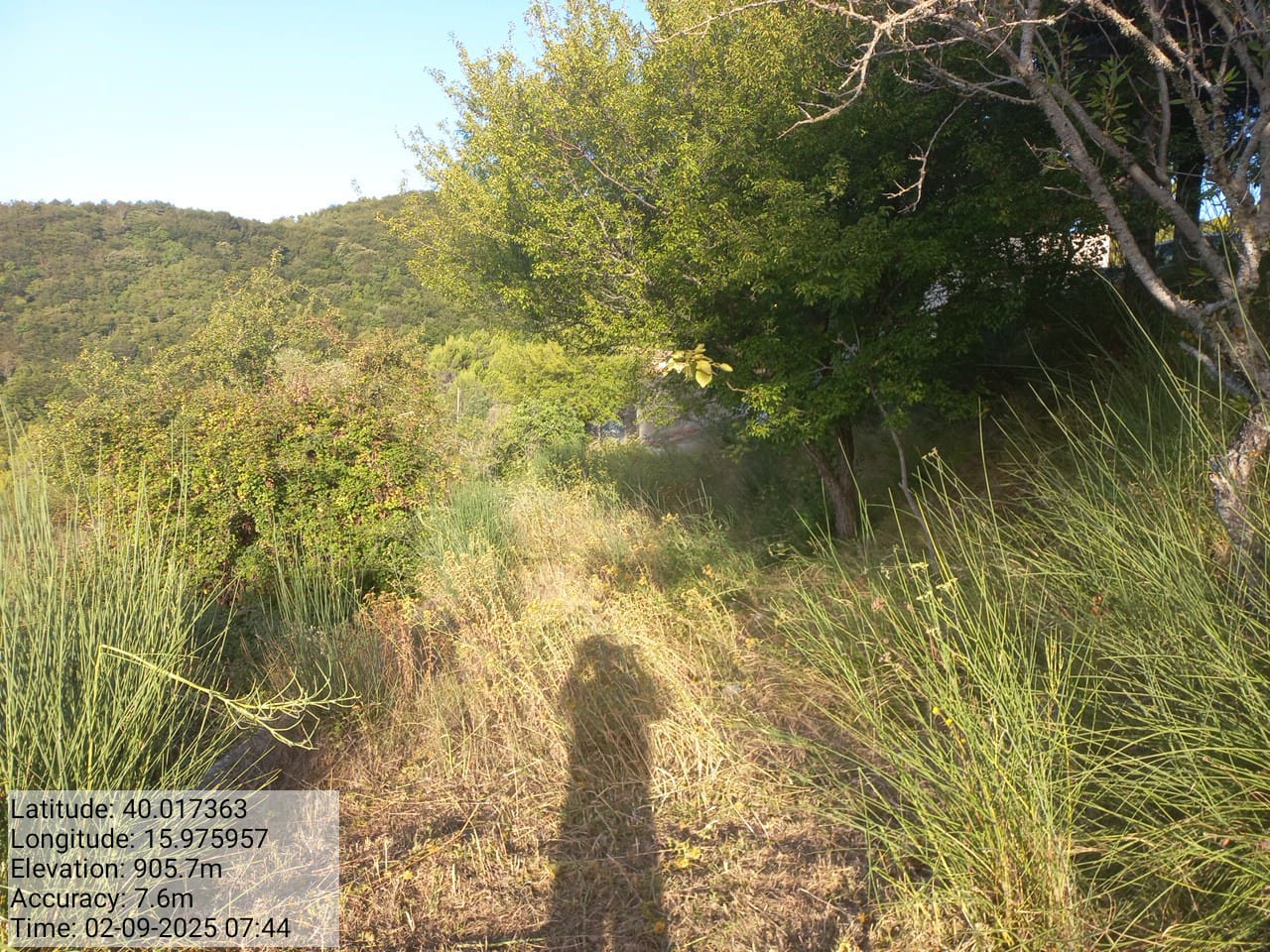 Galleria Fotografica Immagine