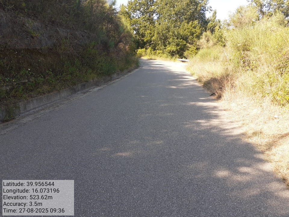 Galleria Fotografica Immagine