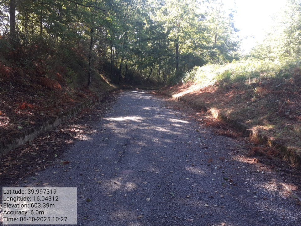 Galleria Fotografica Immagine