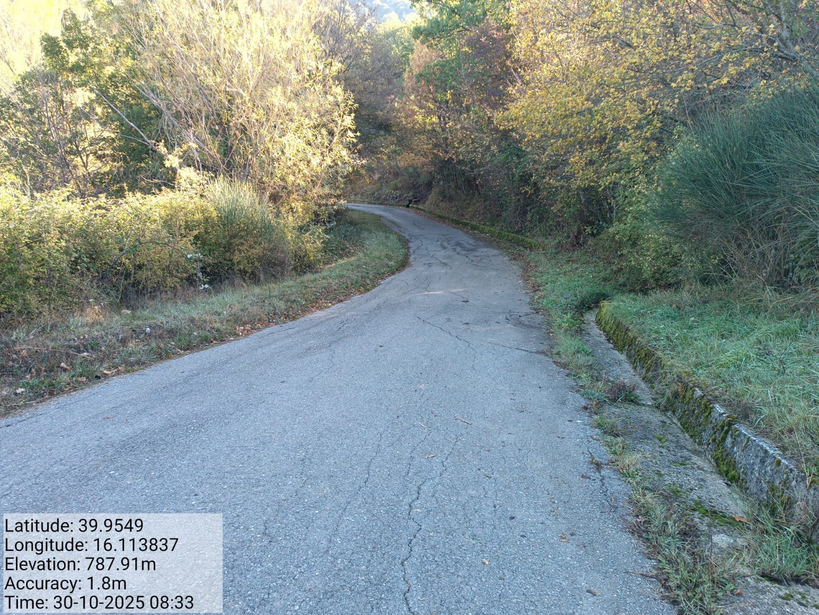 Galleria Fotografica Immagine